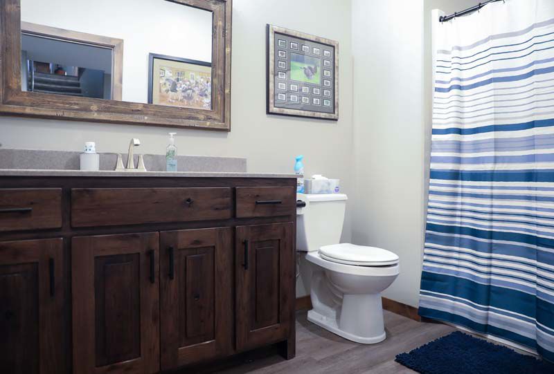 Basement Bathroom